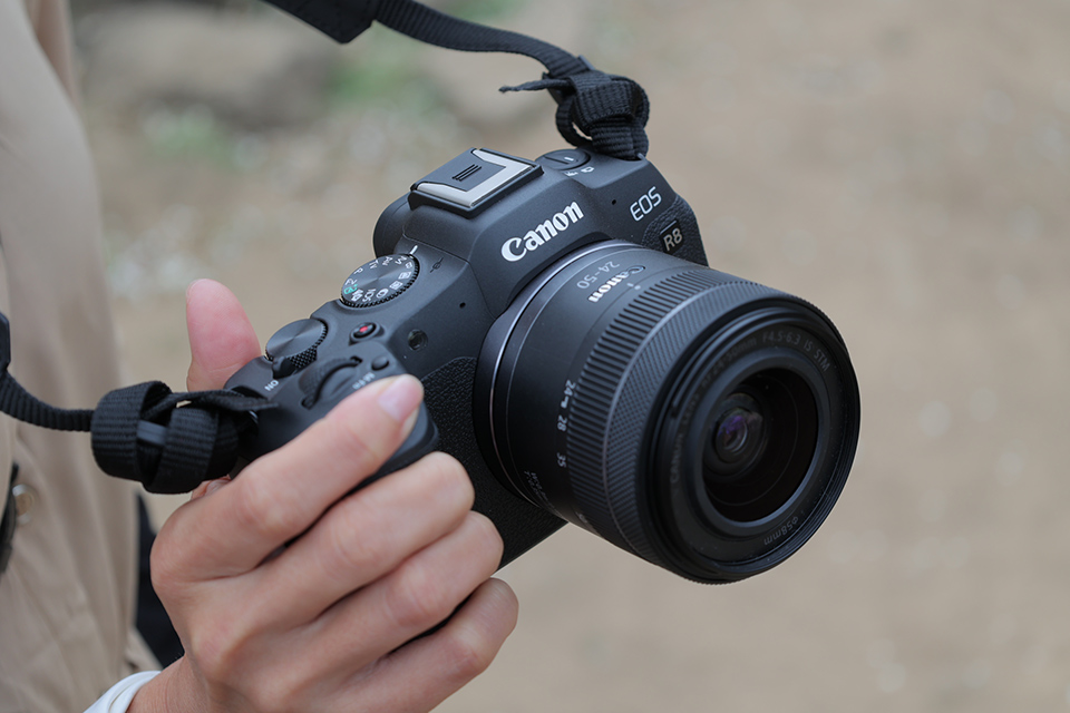Canon EOS R8, R50… las futuras cámaras de Canon que verán la luz
