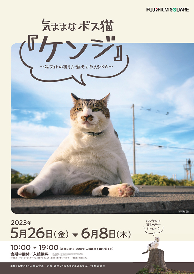 土肥美帆写真展「気ままなボス猫『ケンジ』～猫フォトの撮り方・魅せ方教えるべや～」