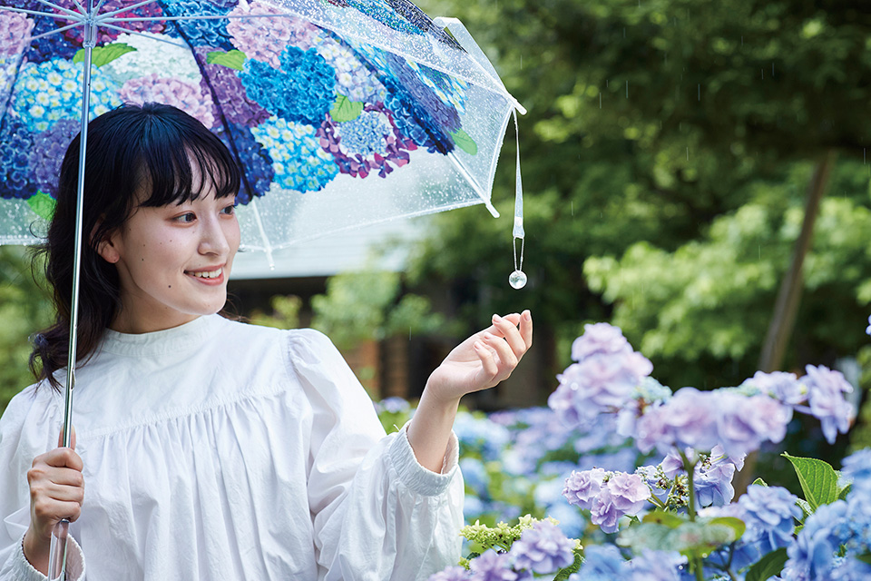 フェリシモ紫陽花の傘イベント