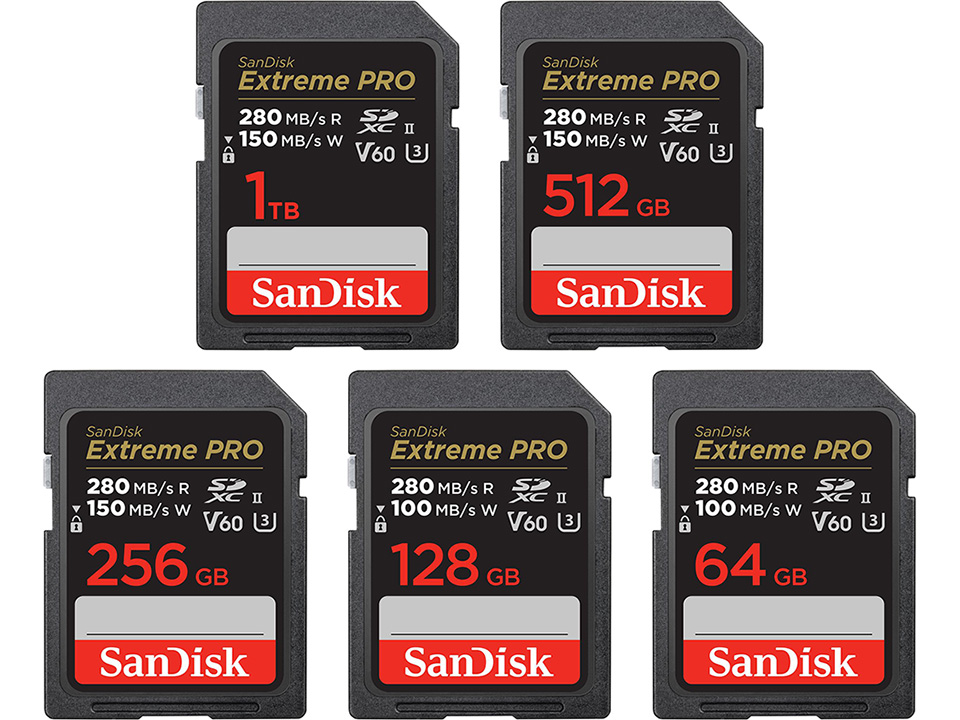 最新作安い SanDisk - 10枚組 Extreme PRO SDXC UHSⅡカードの通販 by