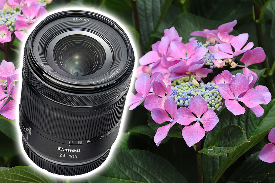 グッと寄れる標準ズームの描写力は？ キヤノン RF24-105mm F4