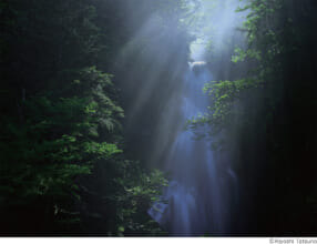 辰野清写真展「風雅巡礼」