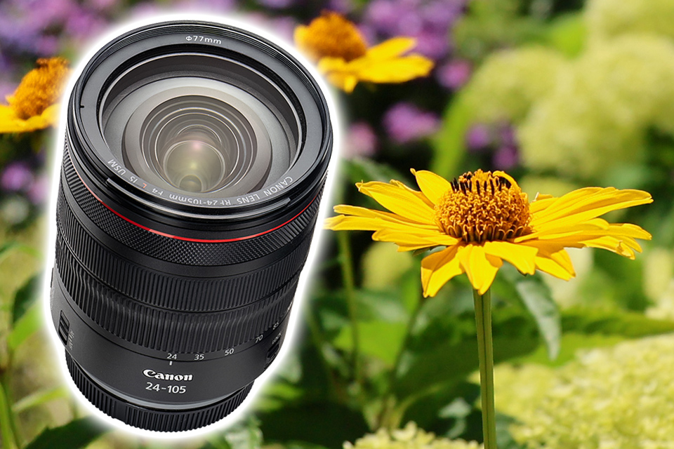 Review: Canon RF24-105mm F4 L IS USM Lens – Lens Paradise “CAPA” July 2023 Issue Another Shot ③