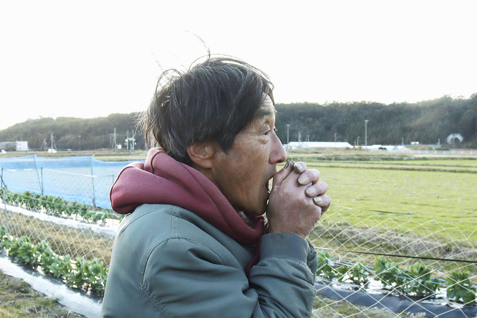 今日も明日も (4枚組)