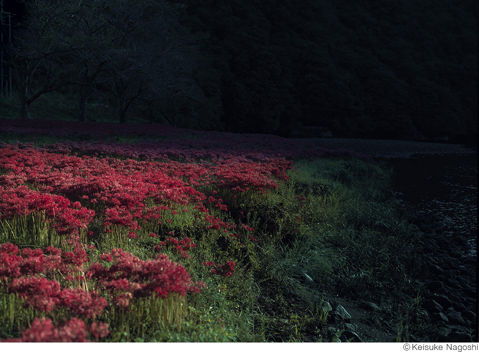 名越啓介写真展「よあけ」