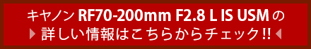 「キヤノン RF70-200mm F2.8 L IS USM」の詳しい情報はこちら