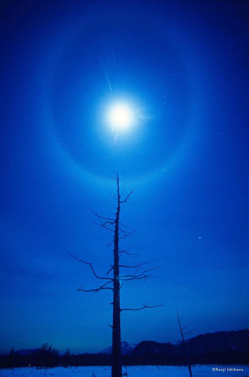 石川賢治『月夜の晩に』