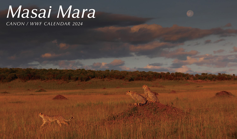 キヤノン/WWFカレンダー2024「Masai Mara」