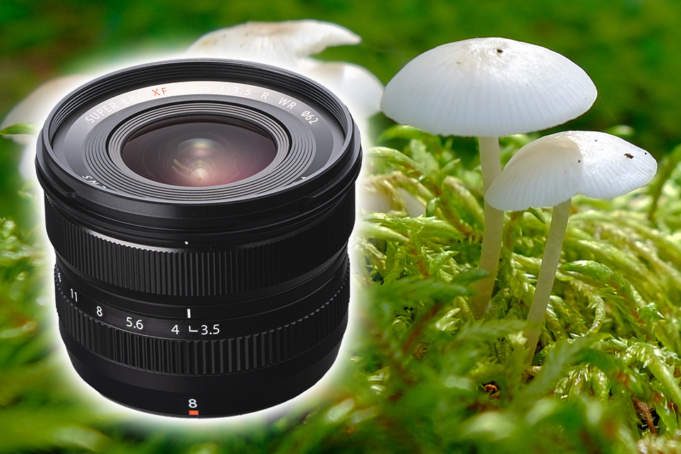 圧倒的な超広角の小型軽量レンズを実写チェック！ XF8mmF3.5 R WR