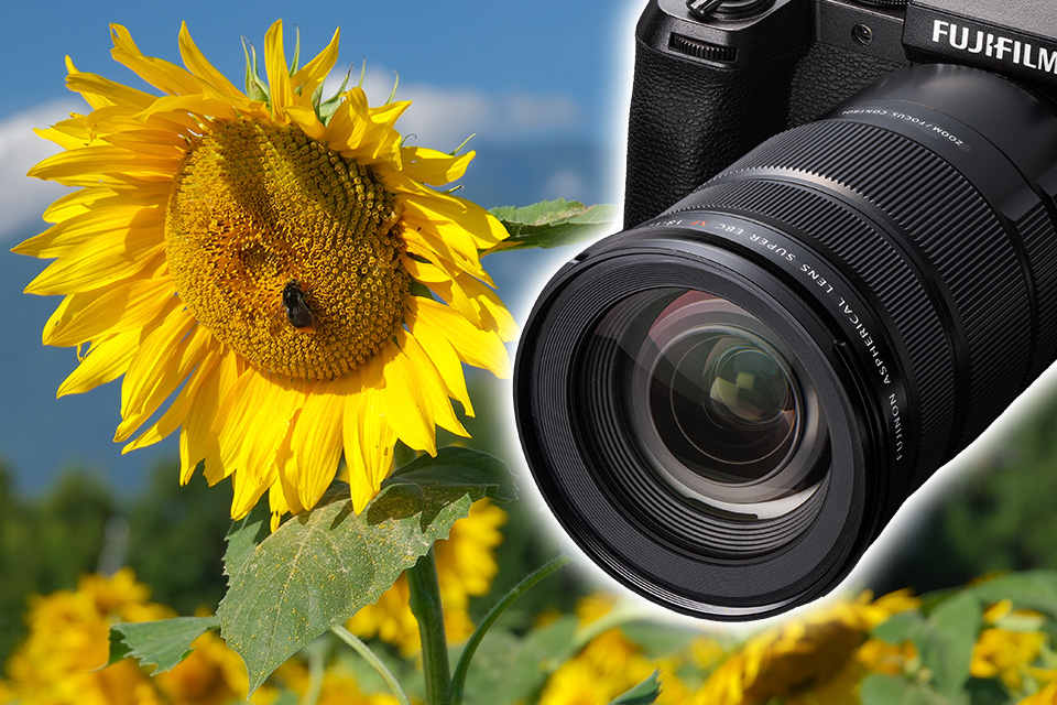 F4通しのパワーズームレンズを実写チェック！ XF18-120mmF4 LM