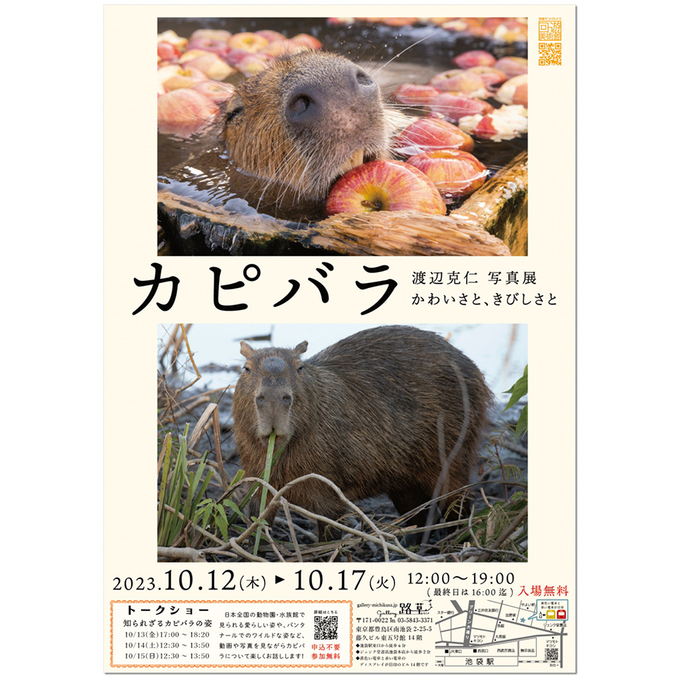 渡辺克仁写真展「カピバラ」かわいさと、きびしさと