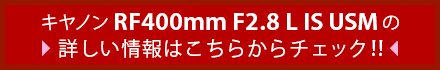RF400mm F2.8 L IS USMの詳しい情報はこちら