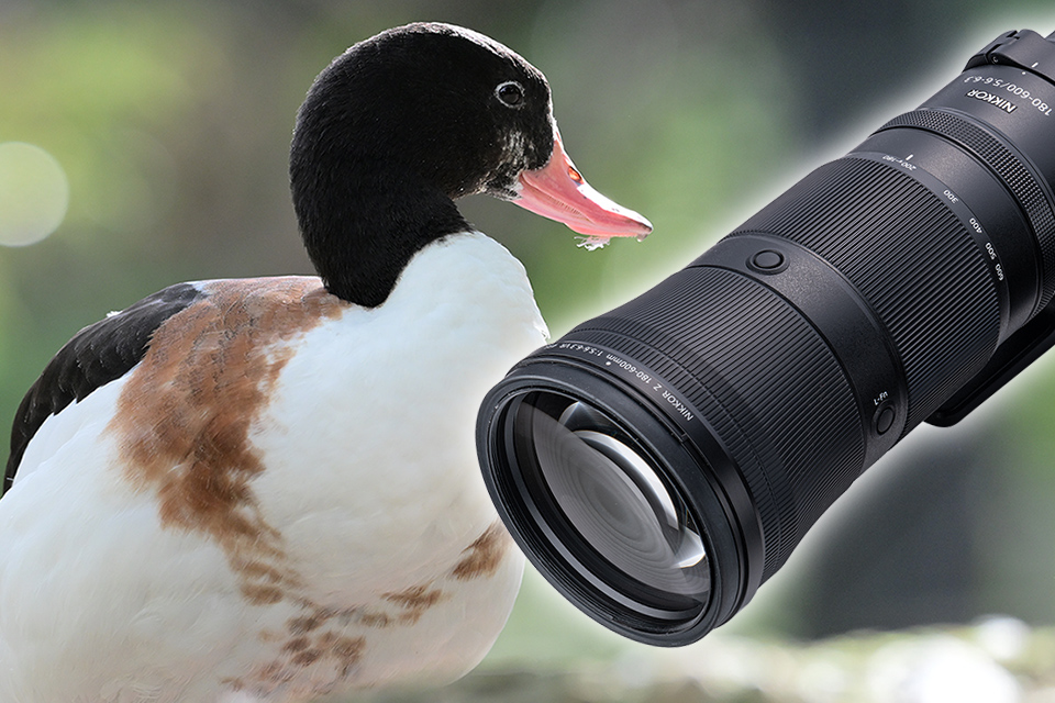 NIKKOR Z 180-600mm f/5.6-6.3 VR 実写チェック！ この性能でこの価格  