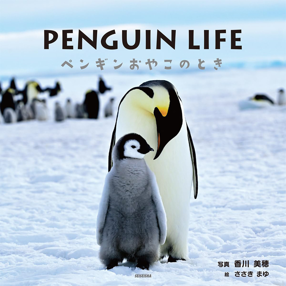 香川美穂『PENGUIN LIFE ペンギンおやこのとき』