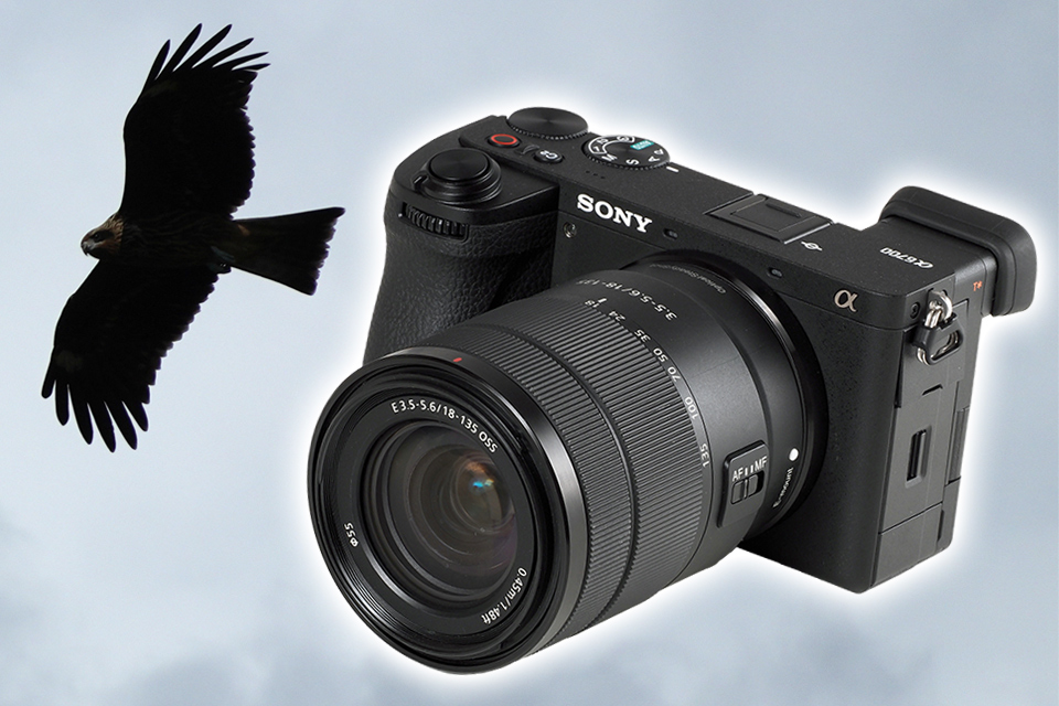 ソニー α6700 実写レビュー！ 注目は上位モデル譲りの被写体認識AF