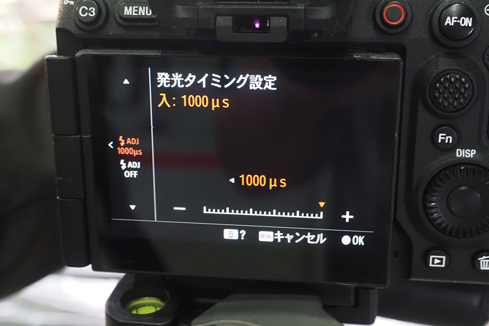 α9 III ＆ FE 300mm F2.8 GM OSS レポート