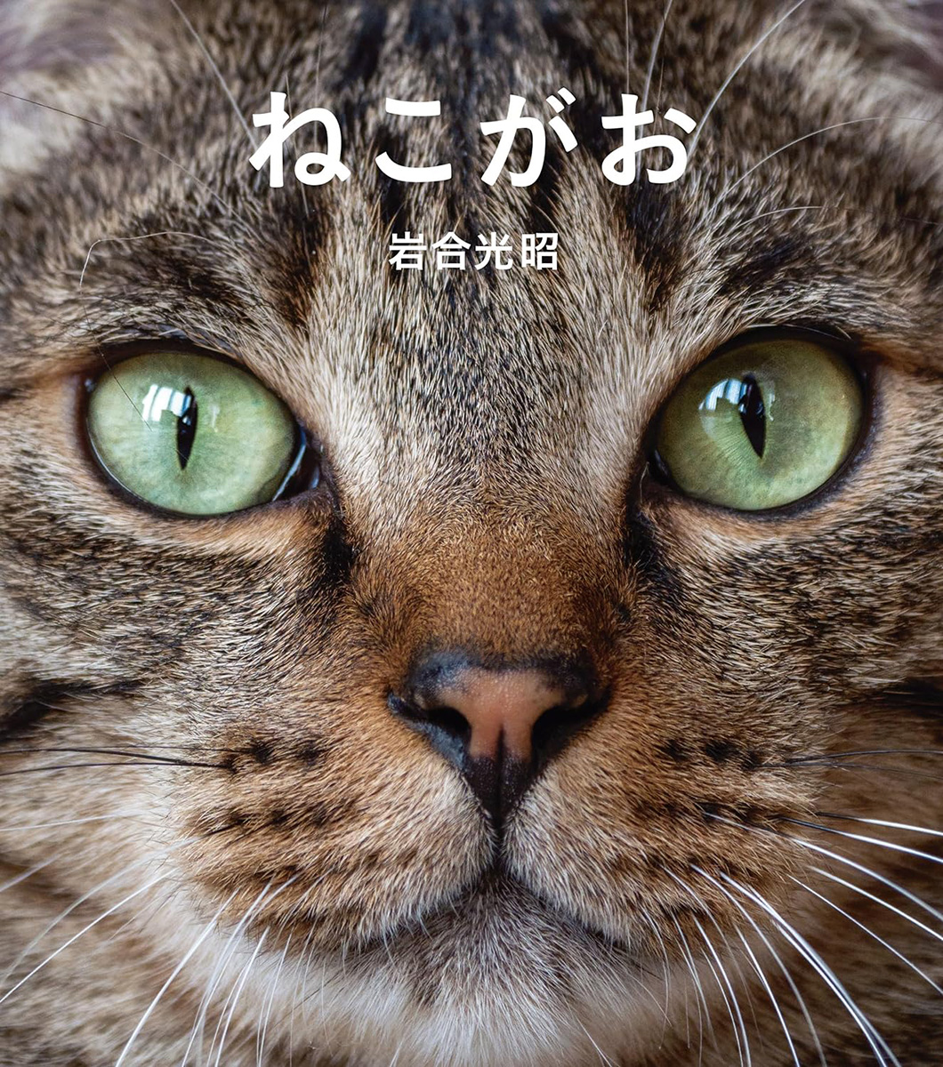 ニャンコだって生き様が顔に出る! 猫の顔を集めた岩合光昭写真集『ねこがお』 | CAPA CAMERA WEB