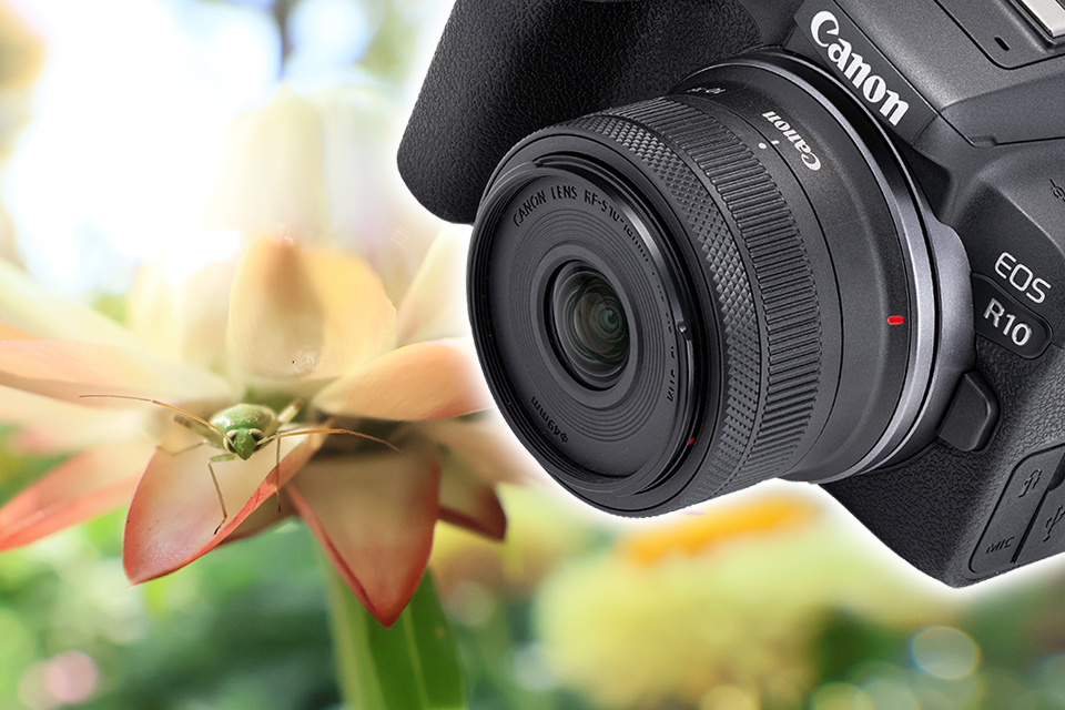 超小型の超広角ズーム「キヤノン RF-S10-18mm F4.5-6.3 IS STM」を実写