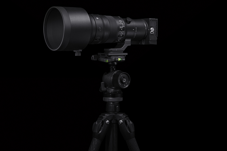 SIGMA 500mm F5.6 DG DN OS | Sports