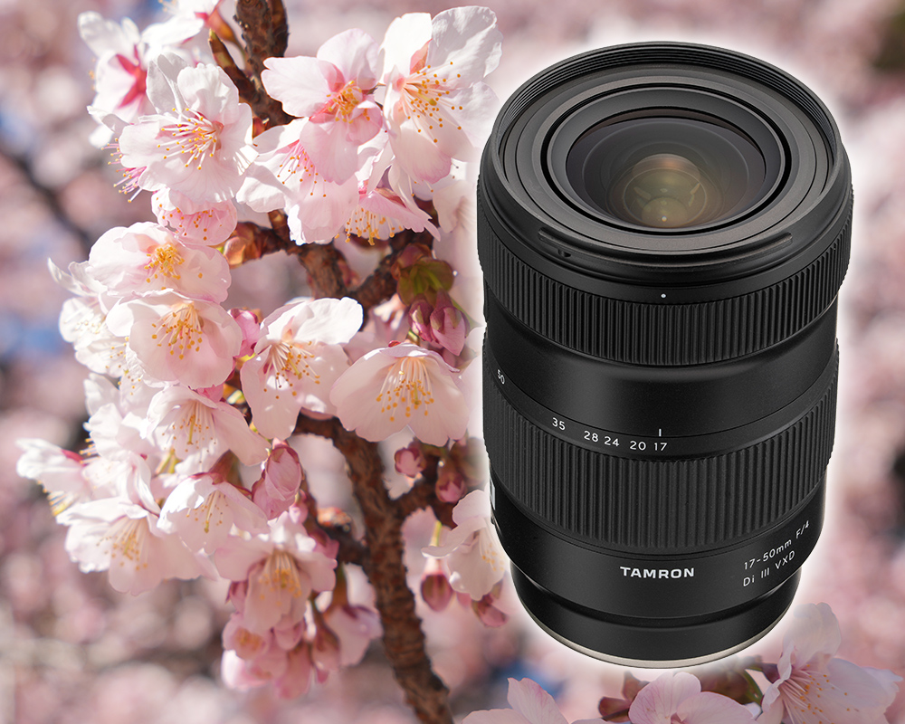F4通しの広角ズームレンズを実写チェック！ タムロン 17-50mm F/4 Di