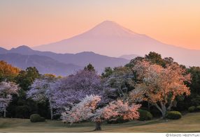 橋向真 追悼写真展「神気 -SHINKI- 新・富士山景」