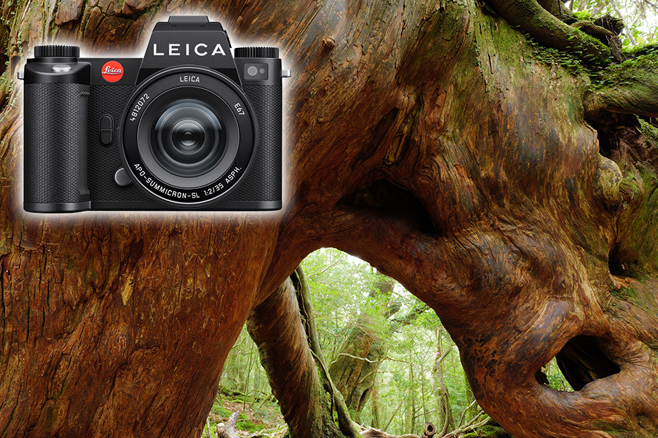 【伝説の名機】限定セール特価 Leica SL 2400万画素超美品早い者勝ち 伝説の名機】限定セール特価 Leica SL 2400万画素超美品早い者勝ち