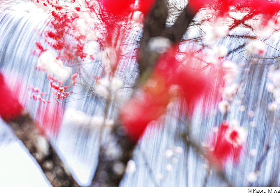 三輪薫写真展「風の香り ～日本のこころの自然風景～」