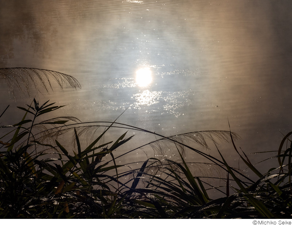 清家道子写真展「水の惑星」