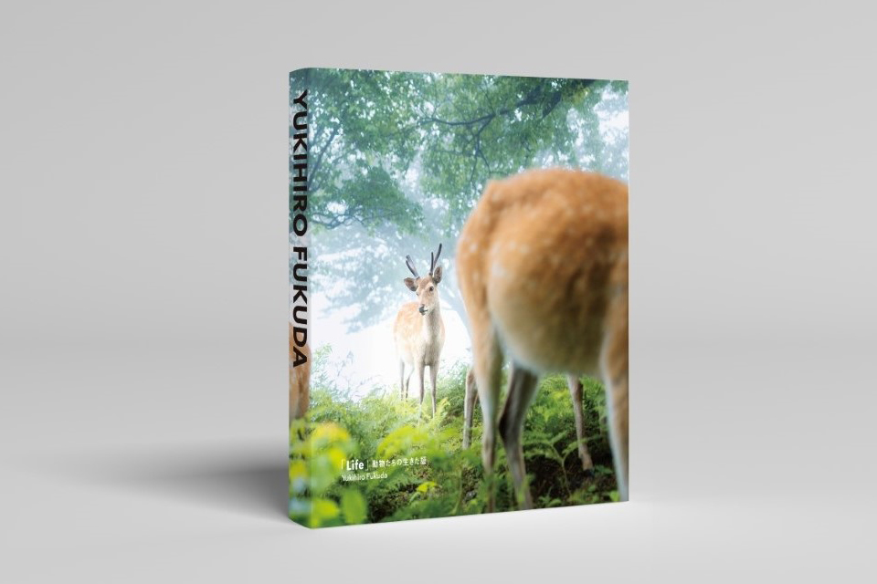 PHOTOGRAPHERS’ ETERNAL COLLECTION展「『Life』 動物たちの生きた証」by 福田幸広