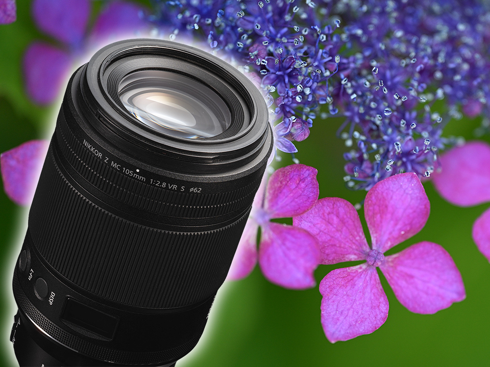 ニコンの中望遠マクロレンズを実写チェック! NIKKOR Z MC 105mm ニコンの中望遠マクロレンズを実写チェック! NIKKOR Z MC 105mm