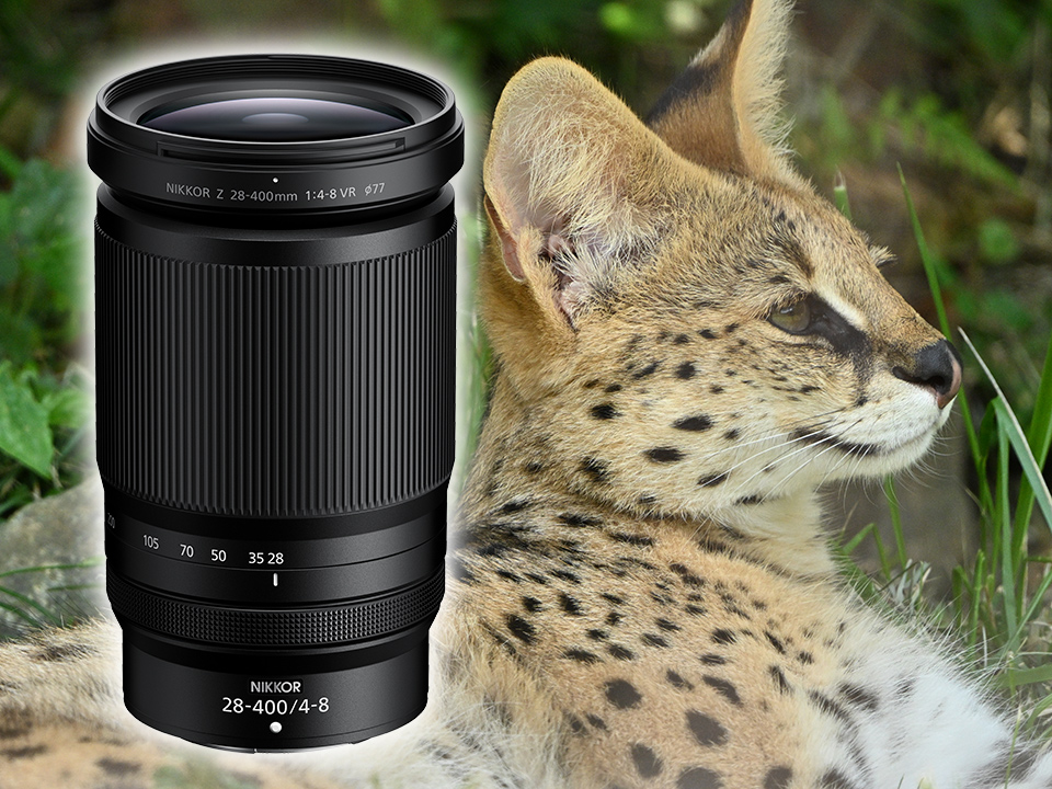 もか様、画像確認用 証明写真サイズ一覧表（横×縦サイズ）｜コンビニ証明写真「Bizi ID」