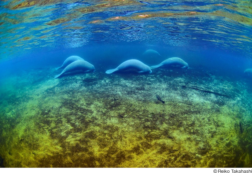 高橋怜子写真展「Buen viaje! ～良い旅を～」