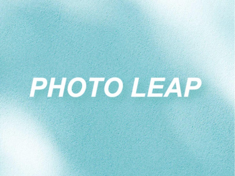 PHOTO LEAP