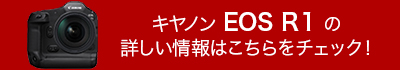 「EOS R1」の詳しい情報はこちらをチェック