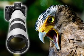 野口純一 × ソニー FE 400-800mm F6.3-8 G OSS