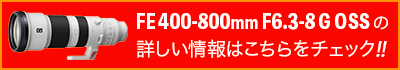 ソニー FE 400-800mm F6.3-8 G OSSの詳しい情報はこちらをチェック！