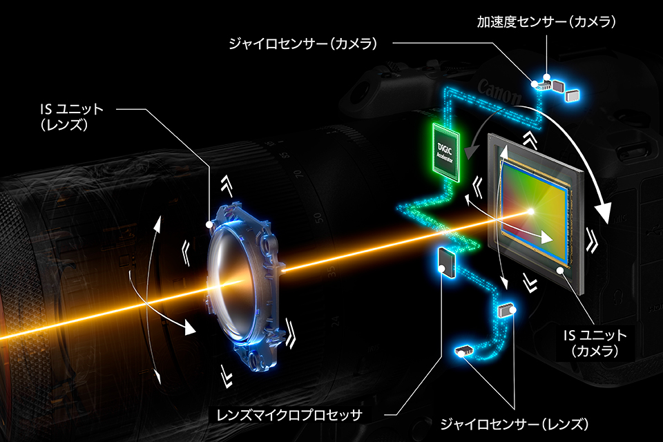 キヤノン EOS R5 Mark II ＆ RF70-200mm F2.8 L IS USM Z 実写レビュー