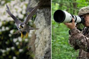 野口純一 × ソニー FE 400-800mm F6.3-8 G OSS