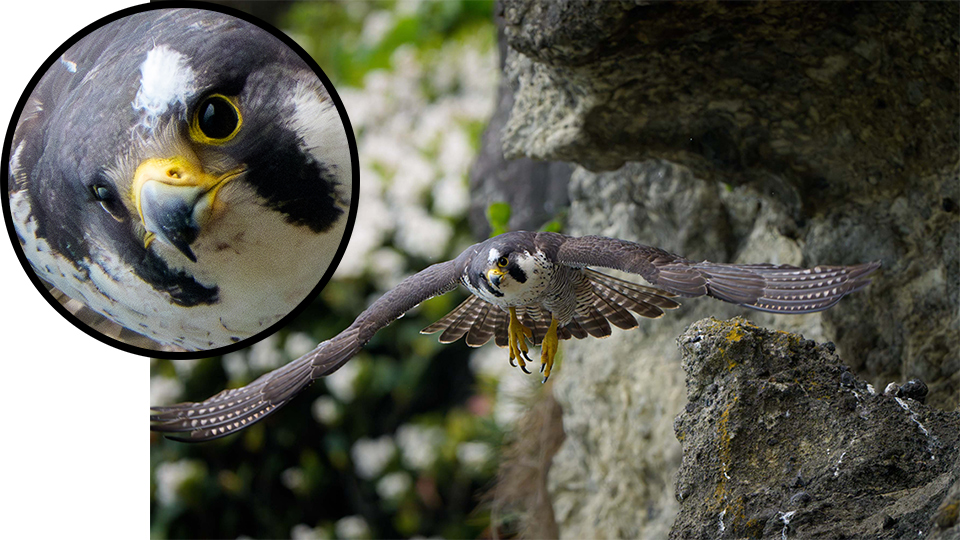 野口純一 × ソニー FE 400-800mm F6.3-8 G OSS