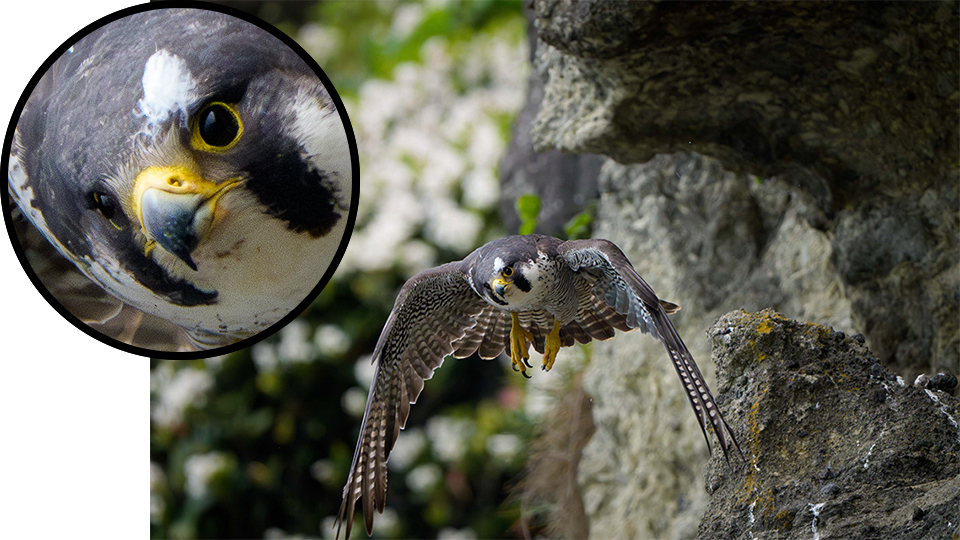 野口純一 × ソニー FE 400-800mm F6.3-8 G OSS