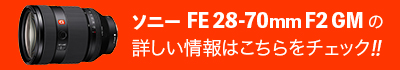 ソニー「FE 28-70mm F2 GM」の詳しい情報はこちらをチェック