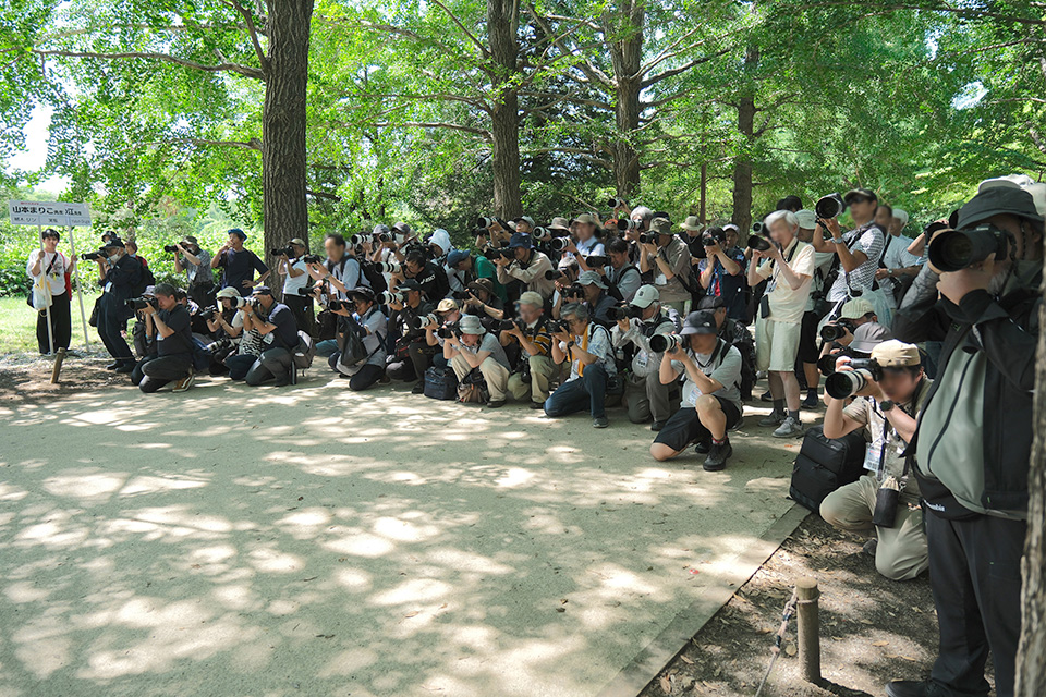 ヨドバシカメラ第5回昭和記念公園モデル大撮影会