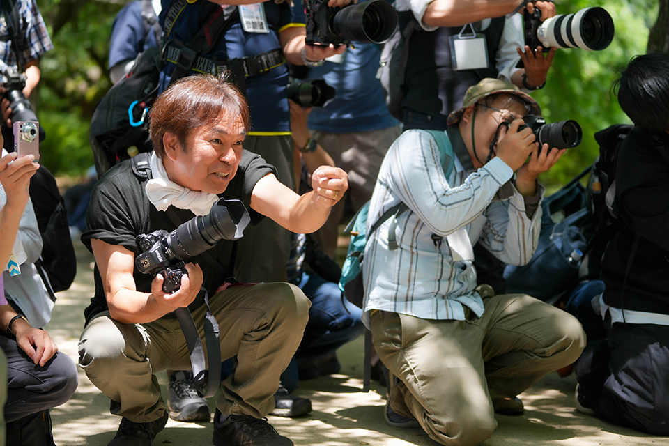 ヨドバシカメラ第5回昭和記念公園モデル大撮影会