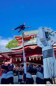 富岡八幡宮 佐藤倫子写真展