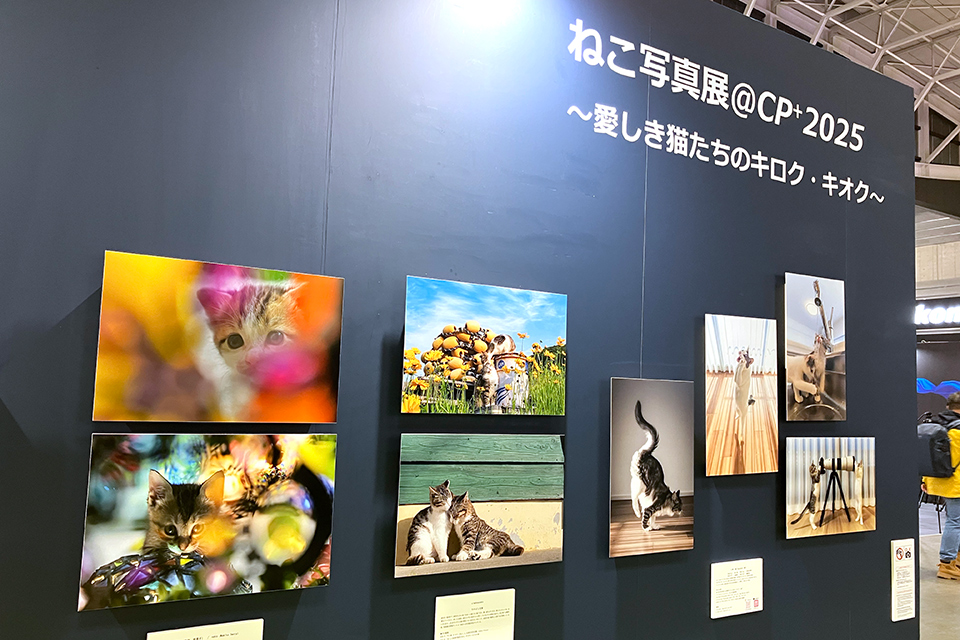 CP+2026 概要発表