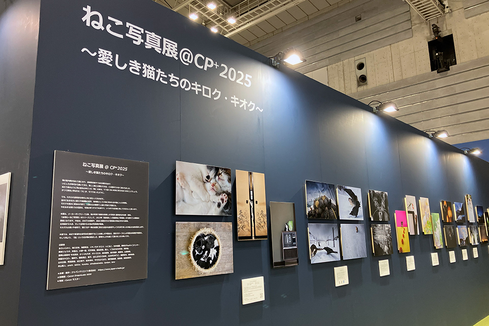 CP+2026 概要発表