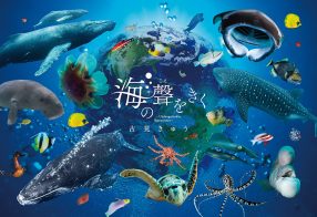 古見きゅう写真展「海の聲をきく」
