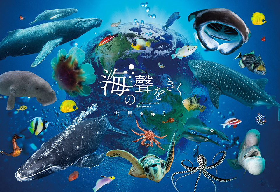 古見きゅう写真展「海の聲をきく」