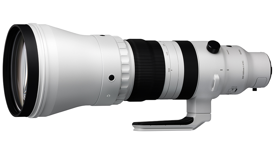300-600mm F4 DG OS | Sports