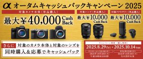 ソニー αオータムキャッシュバックキャンペーン2025
